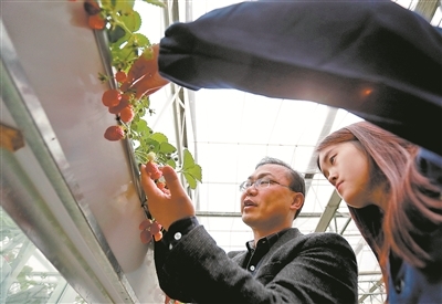 全智技術(shù)賦能教育創(chuàng)新 《中國(guó)教育報(bào)》電子版引領(lǐng)未來(lái)學(xué)習(xí)新生態(tài)